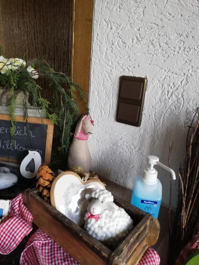 Ferienwohnung Meisenthal Naehe Nuerburgring ケルベルク エクステリア 写真